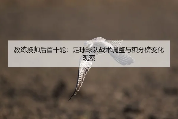jiao-lian-huan-shuai-hou-shou-shi-lun-zu-qiu-qiu-dui-zhan-shu-tiao-zheng-yu-ji-fen-bang-bian-hua-guan-cha-2-596.jpg